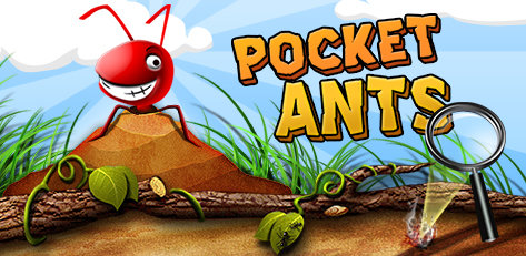 pocket ants