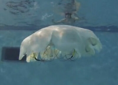 Lovecraft Meets Asimov When College Students Build Robotic Jellyfish robotic jellyfish